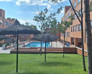 Swimming pool of Flat to rent in Arroyomolinos (Madrid)