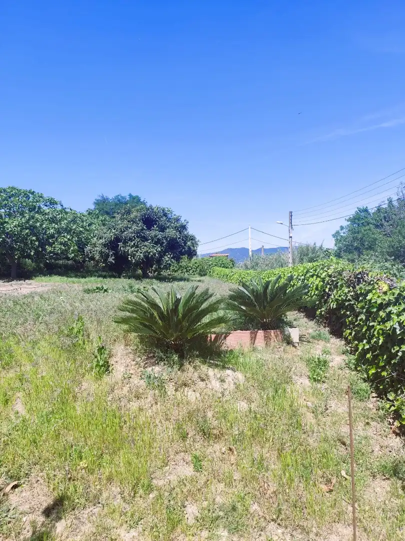 Terreno residencial en venta en Carrer Bedoll, imagen 4