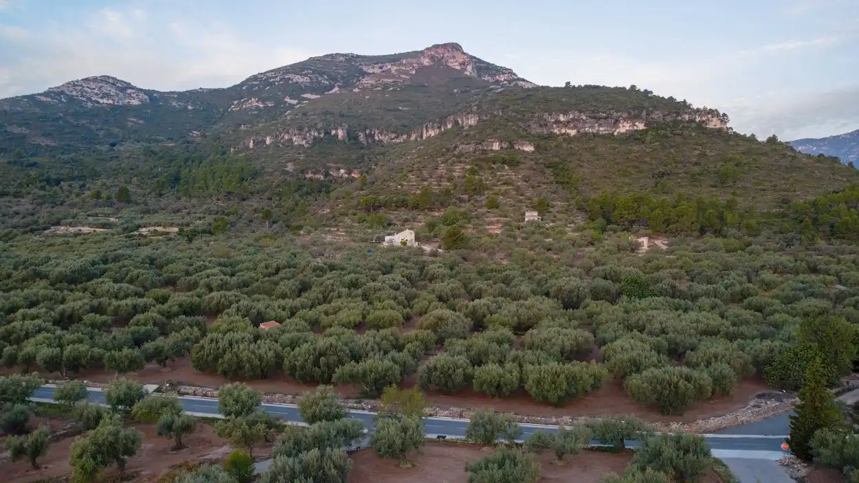 Finca rústica en venta en Mas de Barberans con Terraza y Trastero