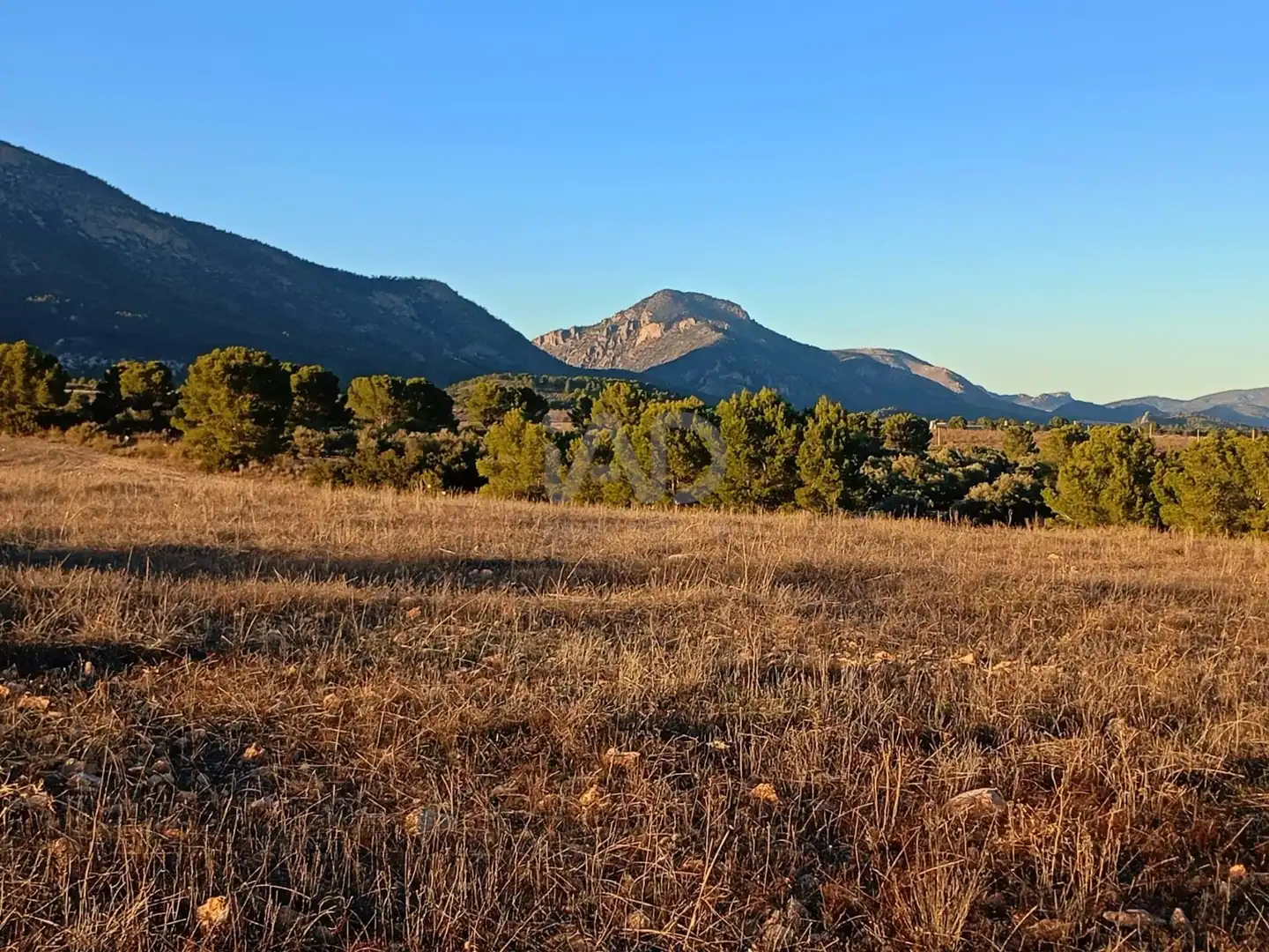 Terreno en venta en Lorca