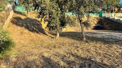 Foto 2 de Residencial en venda a Lloret Verd - Els Pinars, Lloret de Mar