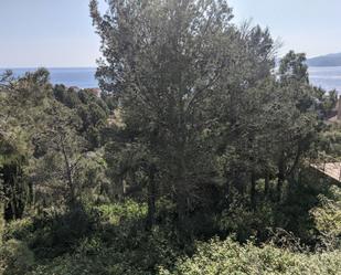 Land for sale in Grifeu - Cap Ras - Els Estanys - Sant Genís