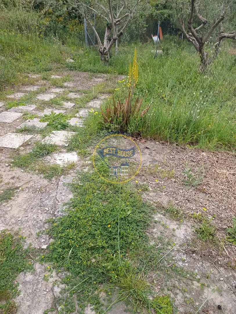 Houses for sale in Ontinyent