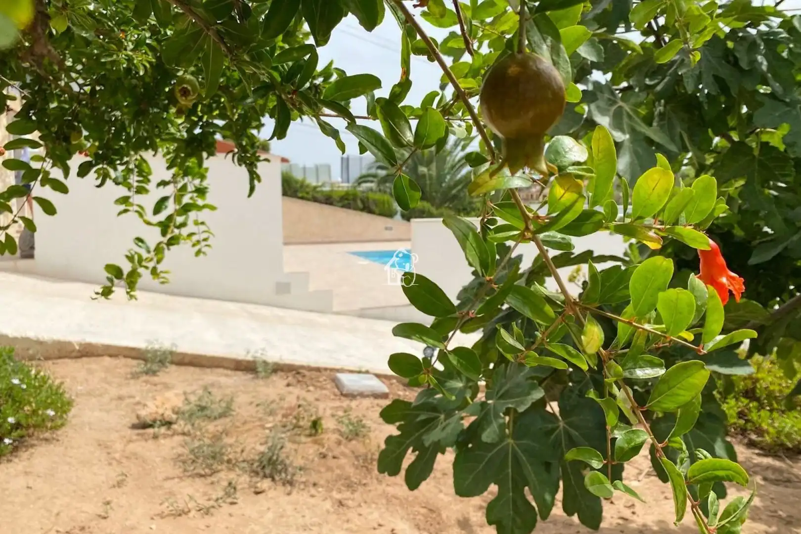 Jardín de Casa o chalet de alquiler en Torrevieja con Aire acondicionado, Piscina y Amueblado