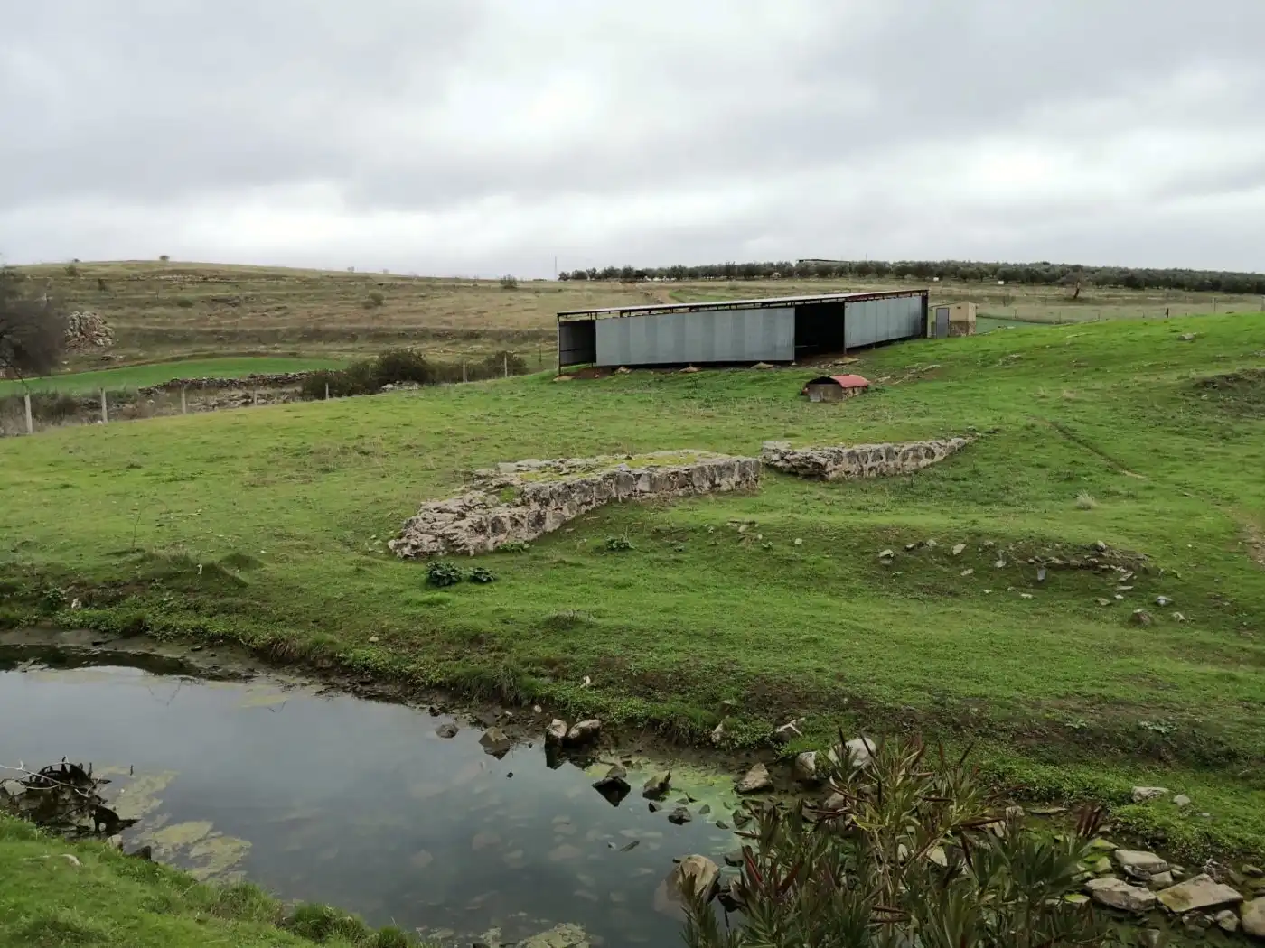 Vista exterior de Finca rústica en venta en Belalcázar