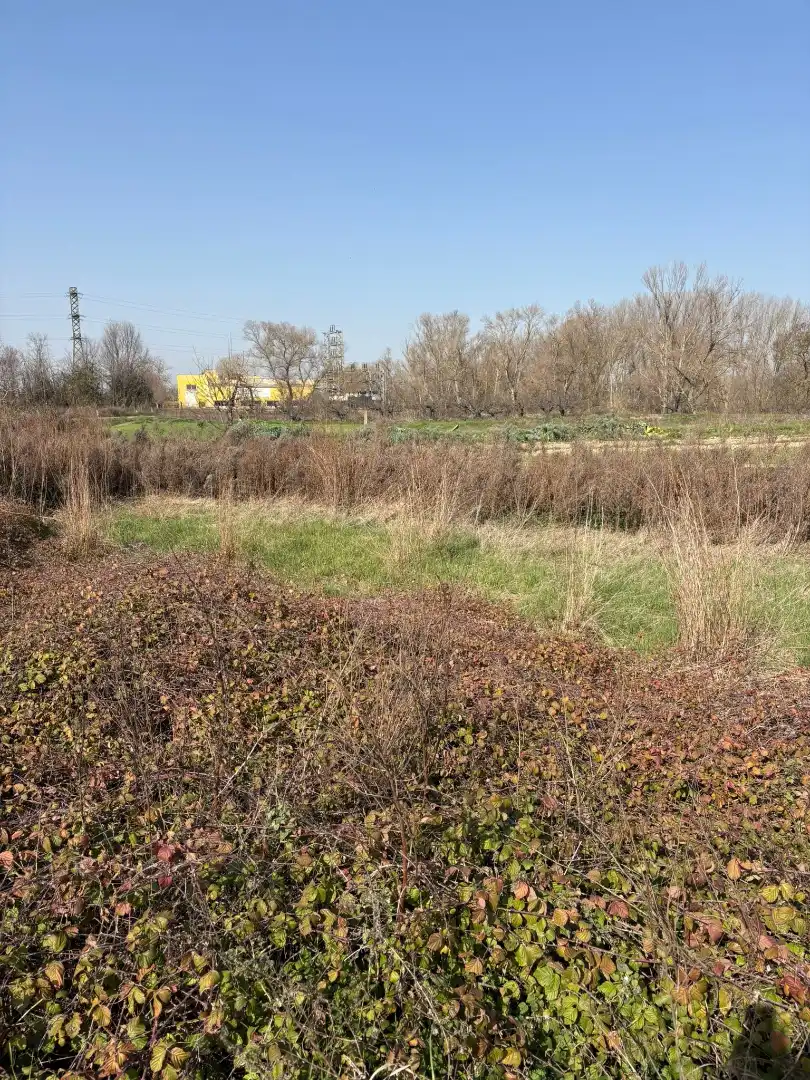 Rural land for sale in Agoncillo, imagen 2