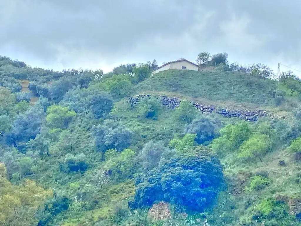 Casa rústica con jardín en venta en Colmenar, imagen 26