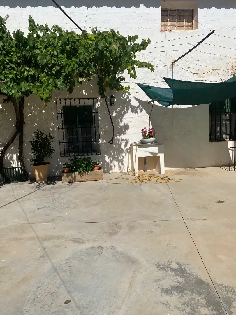 House with garden for sale in Calle Mayor 6, imagen 42