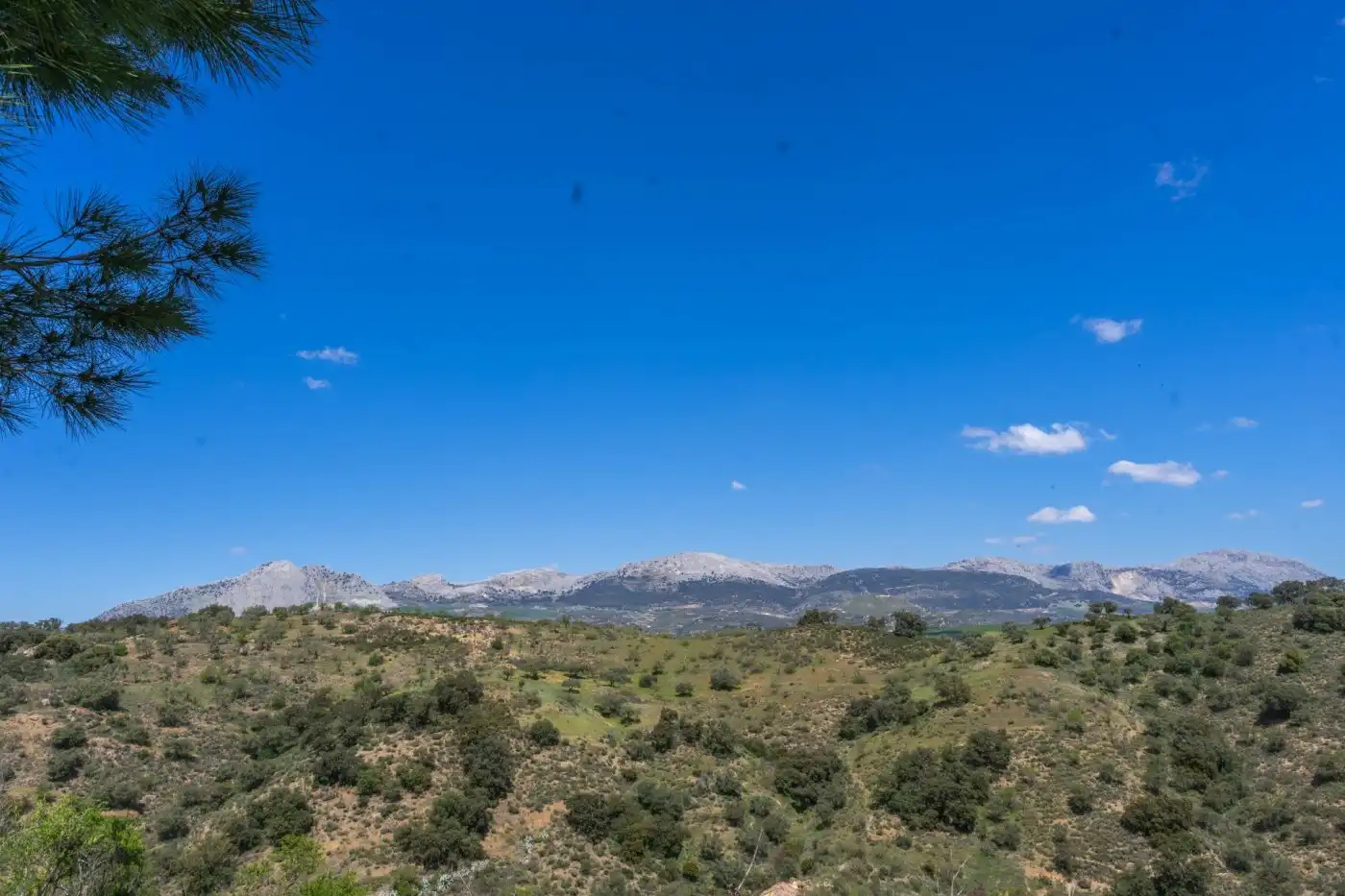 Casa o xalet en venda en Málaga amb Terrassa, Traster i Piscina
