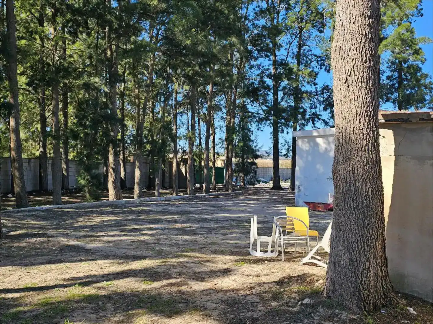 Vista exterior de Pis en venda en Oliva amb Jardí privat