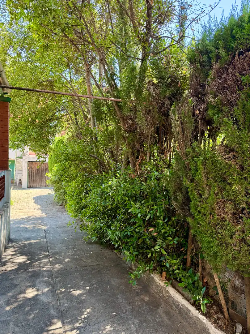Jardín de Casa o chalet en venta en Barcelona con Calefacción, Jardín privado y Terraza