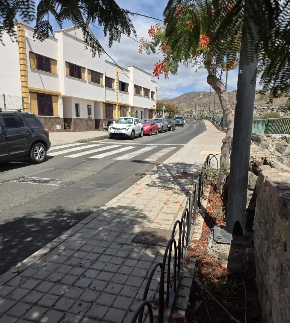 Exterior view of Detached homes for sale in Mogán  with Furnished