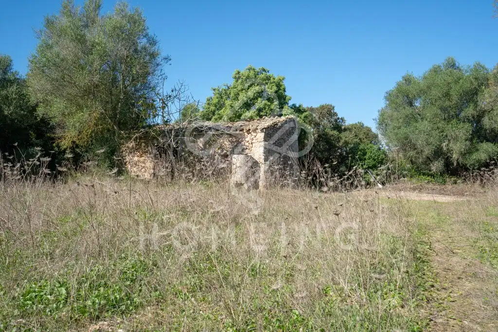 Country house with garden for sale in Costitx, imagen 27
