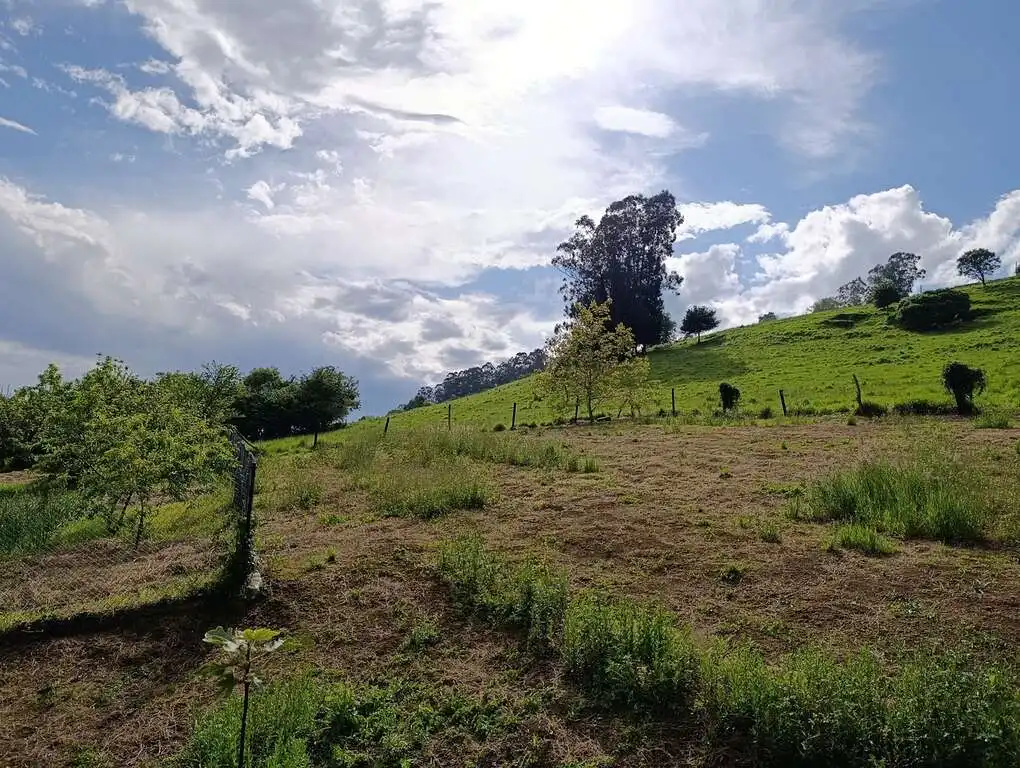 Casa o xalet en venda en Piélagos