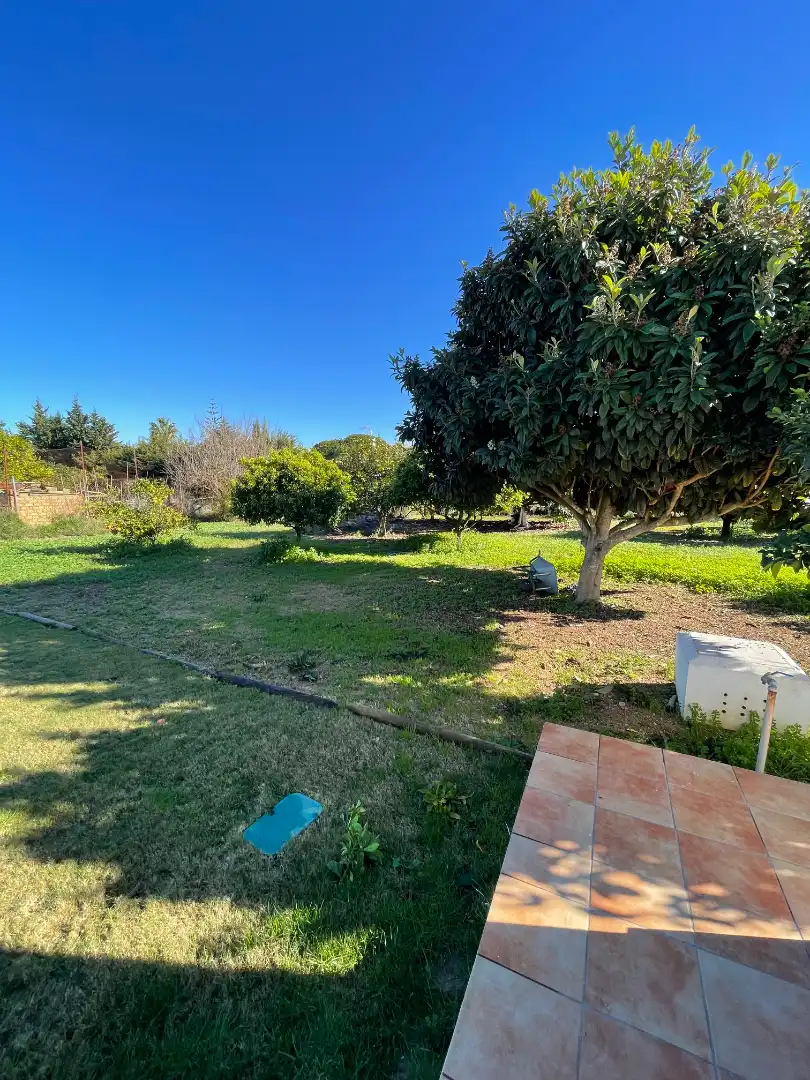 Jardí de Casa o xalet en venda en Chiclana de la Frontera amb Calefacció, Jardí privat i Moblat