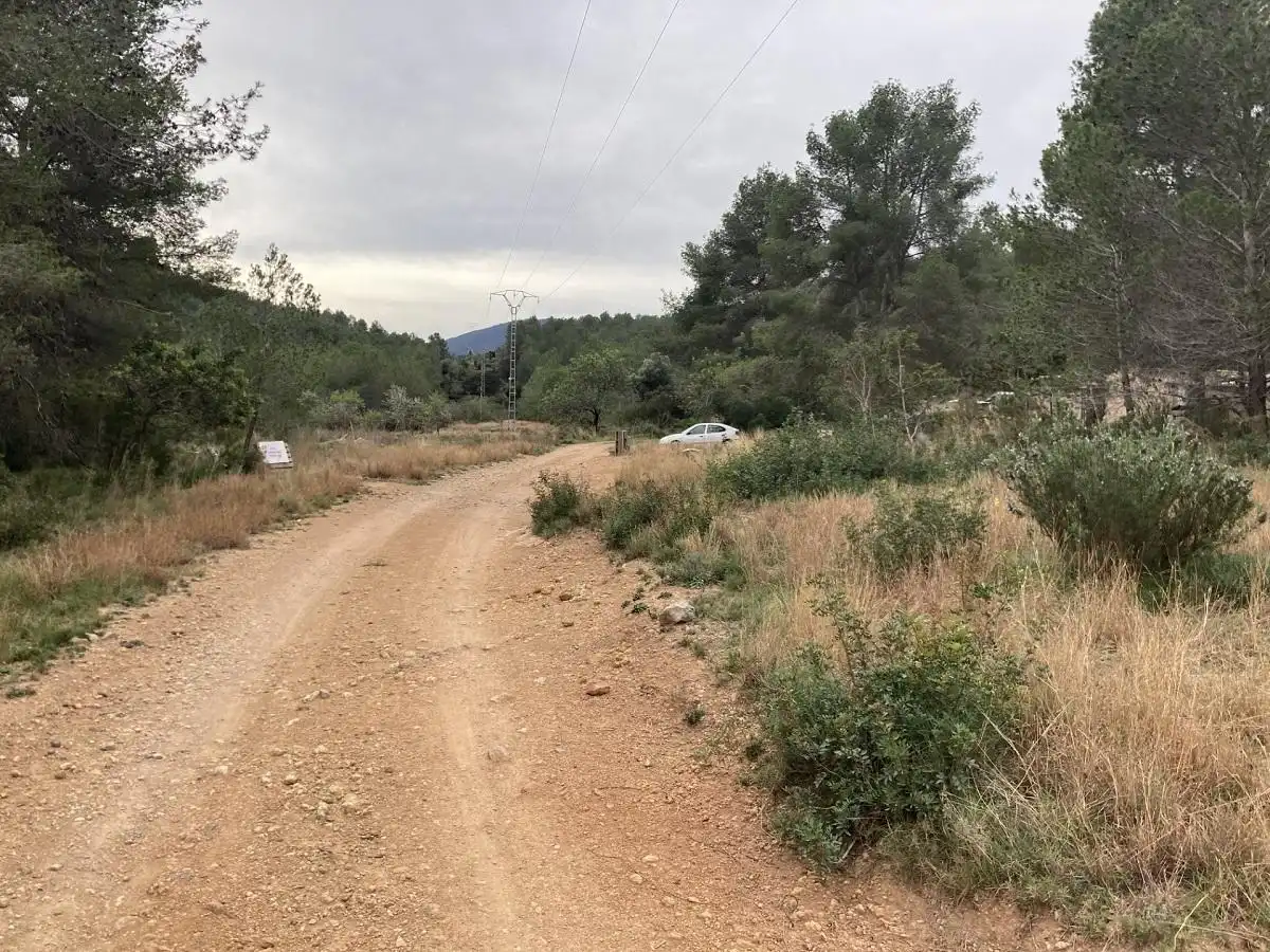 Terreno rustico in vendita a Fanzara, imagen 2