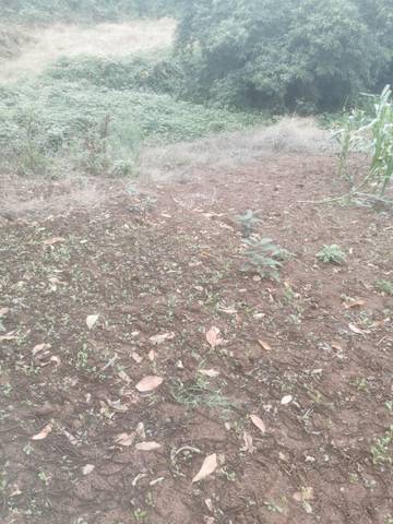 Terreno en Venta en Camino Lomo Alto, 8 en La Perdoma - San Antonio - Benijos