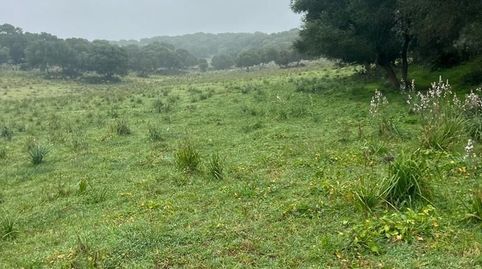 Foto 5 von Residential zum Verkauf in Barbate ciudad, Barbate