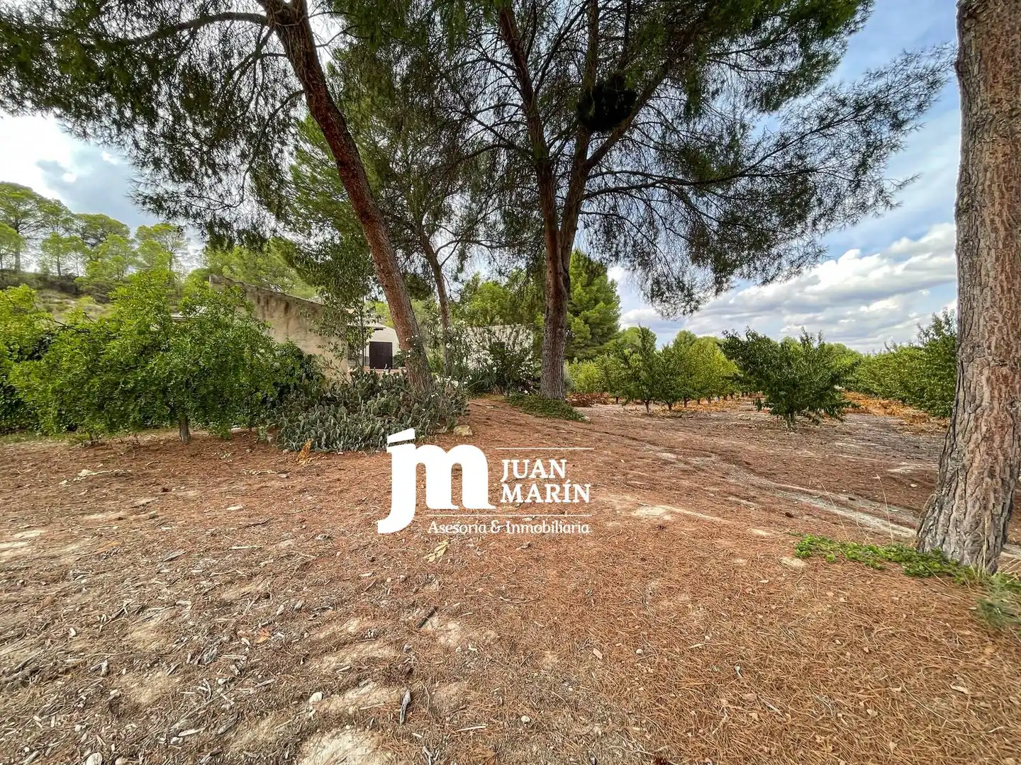 Casa rústica amb piscina en venda a Cieza, imagen 19