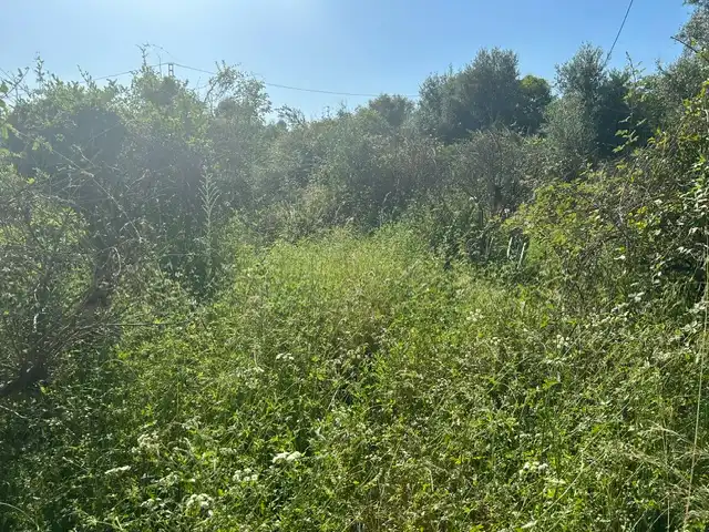 Rural land for sale in Vilallonga / Villalonga, imagen 12