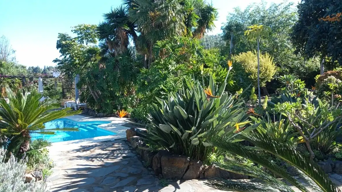 Jardí de Finca rústica en venda en Icod de los Vinos amb Terrassa