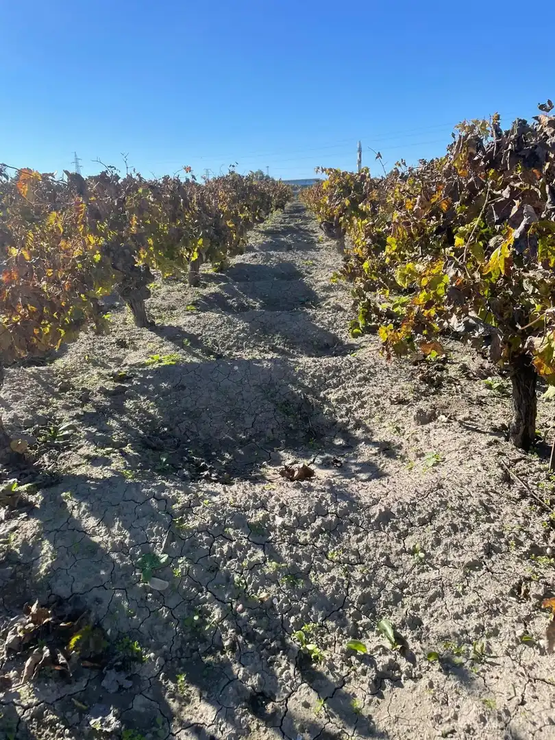Rustikales Grundstück zum Verkauf in Centro - Calzada - Cabo Noval, imagen 6