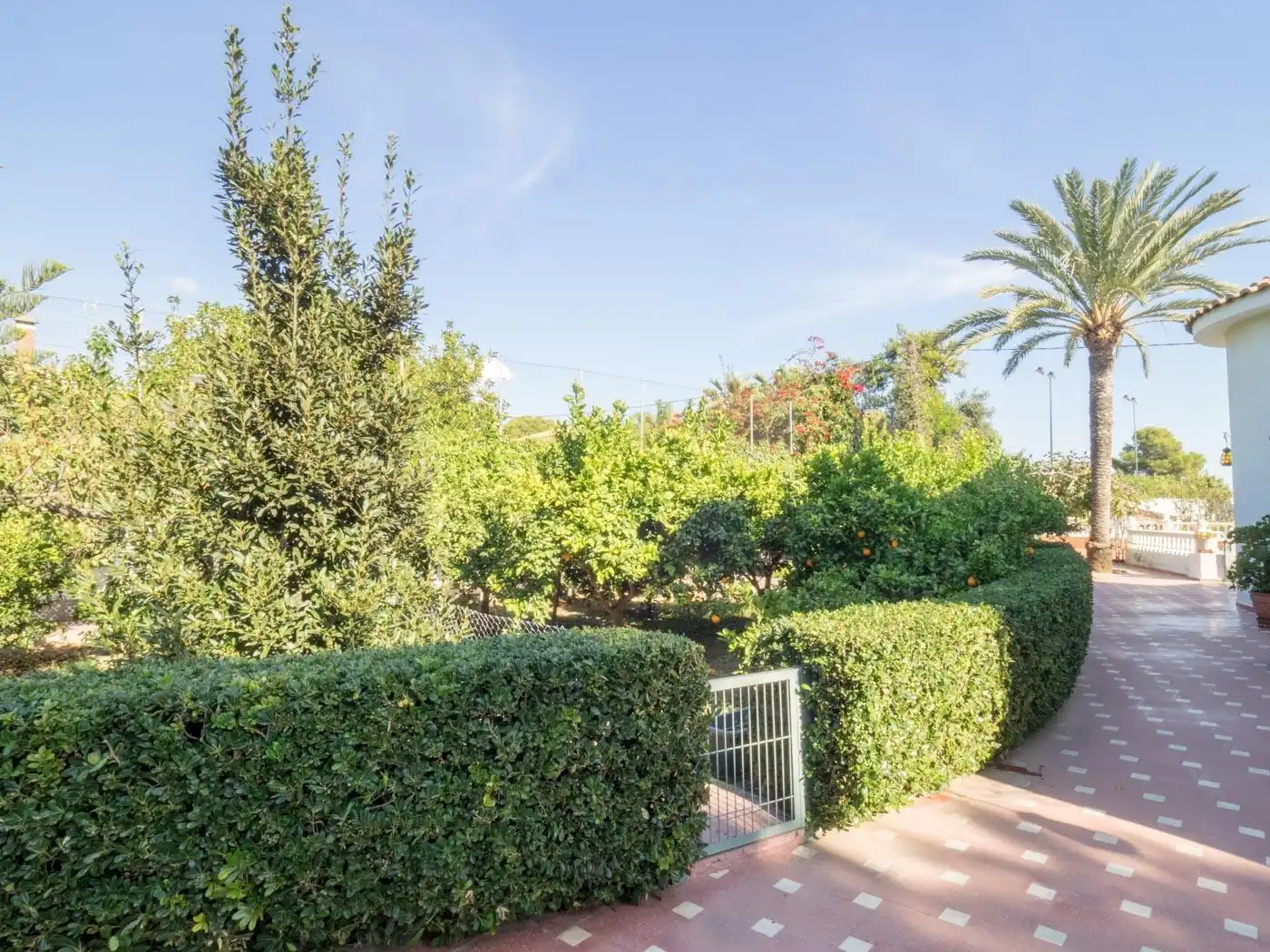Jardí de Casa o xalet en venda en Partidas de Alicante