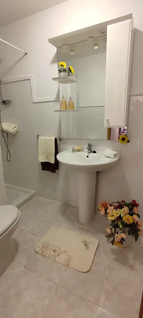 Baño de Casa o chalet en venta en Villarejo de Órbigo