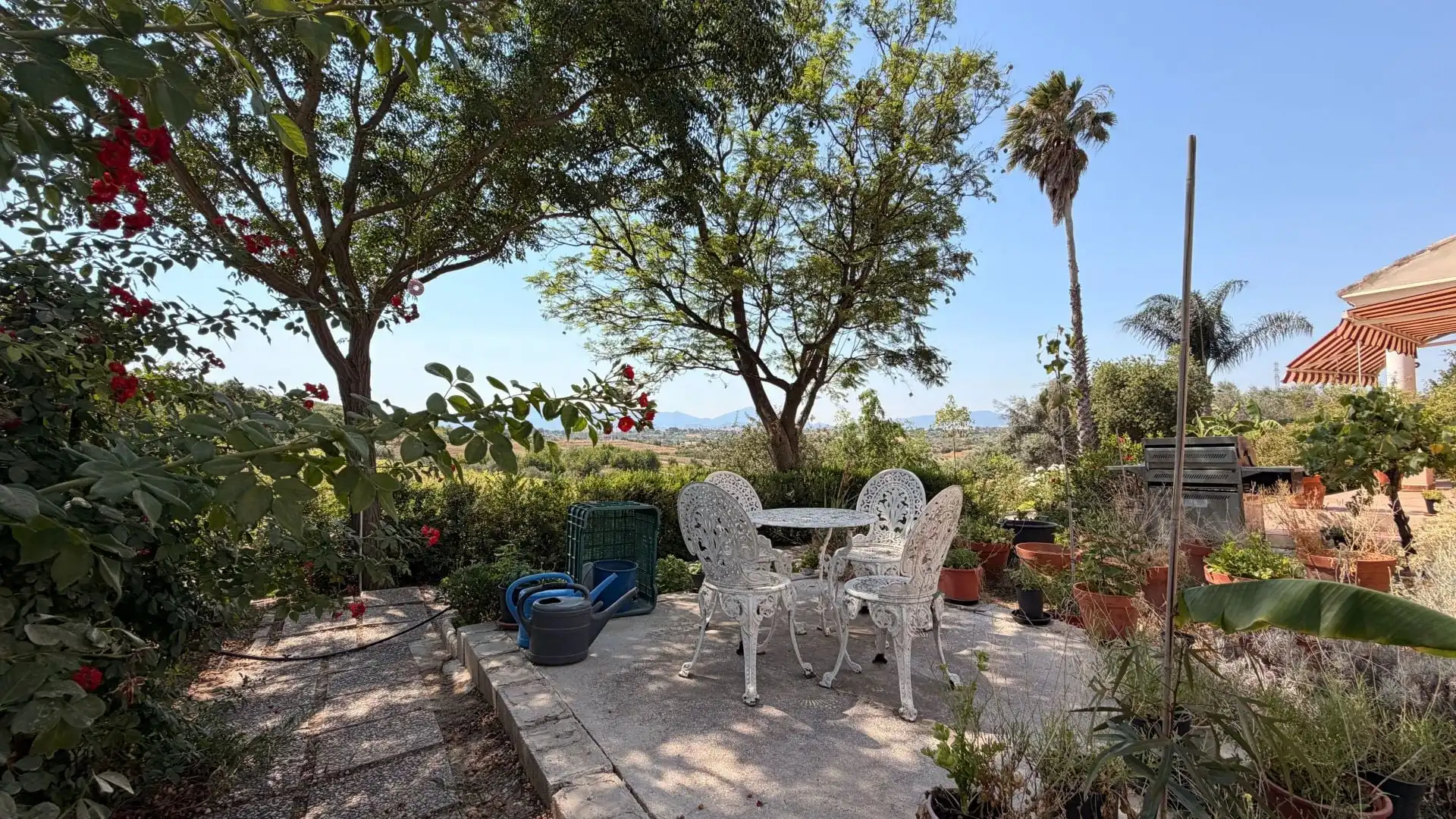 Finca rústica en venta en Centro