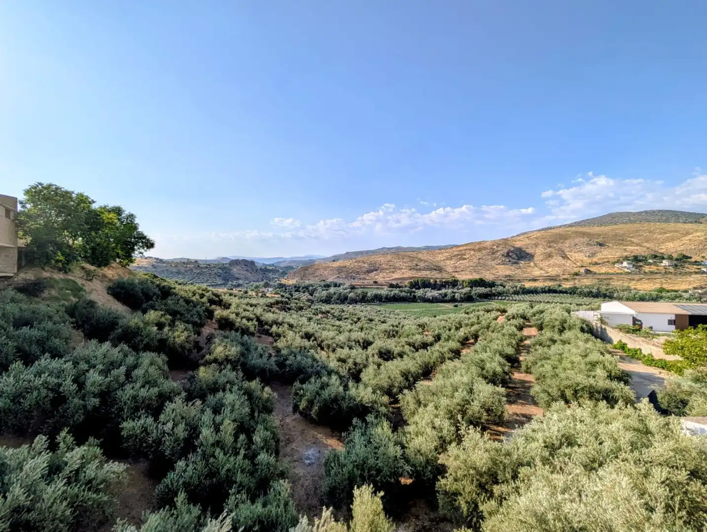 Casa o xalet en venda en Loja amb Aire condicionat, Calefacció i Terrassa