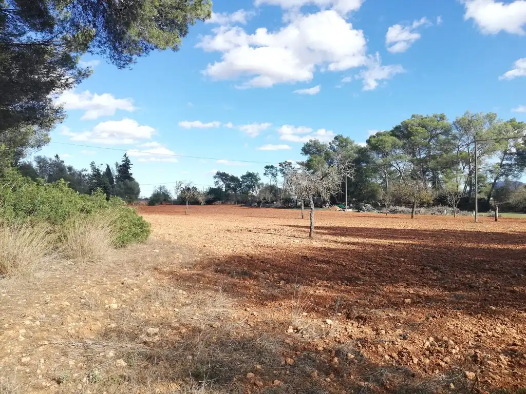 Terreno rustico in vendita a Algaida, imagen 5