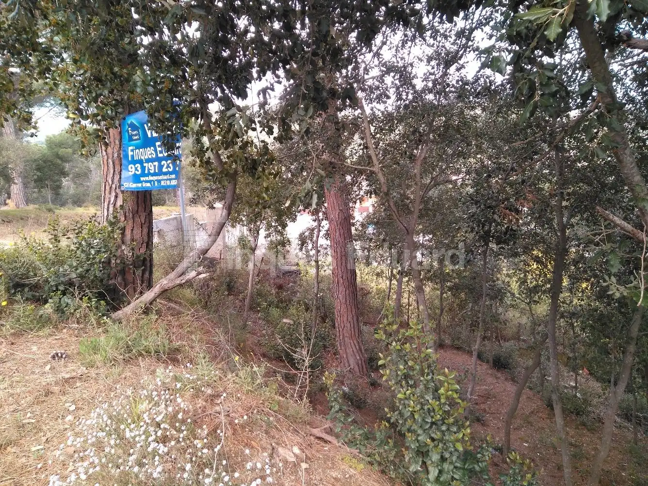 Terreno residencial en venta en Urbanitzacions, imagen 3