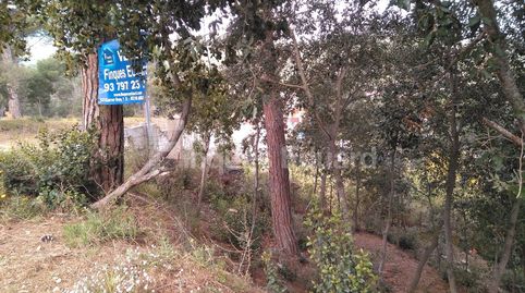 Fantàstica parcel.la de 1068m2 situada en l' urbanització de Can Raimí (Argentona) amb espectaculars vistes al Montseny., imatge 3