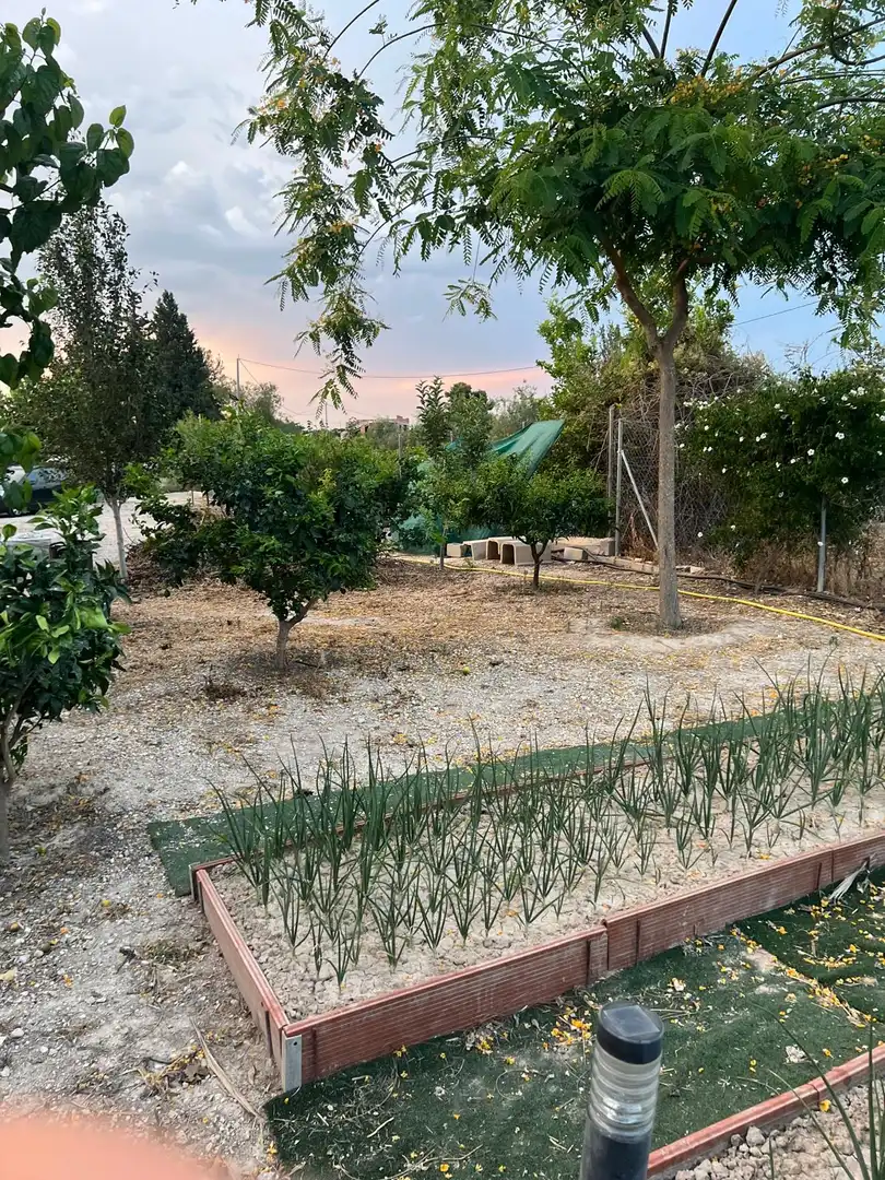 Land for sale in Murcia