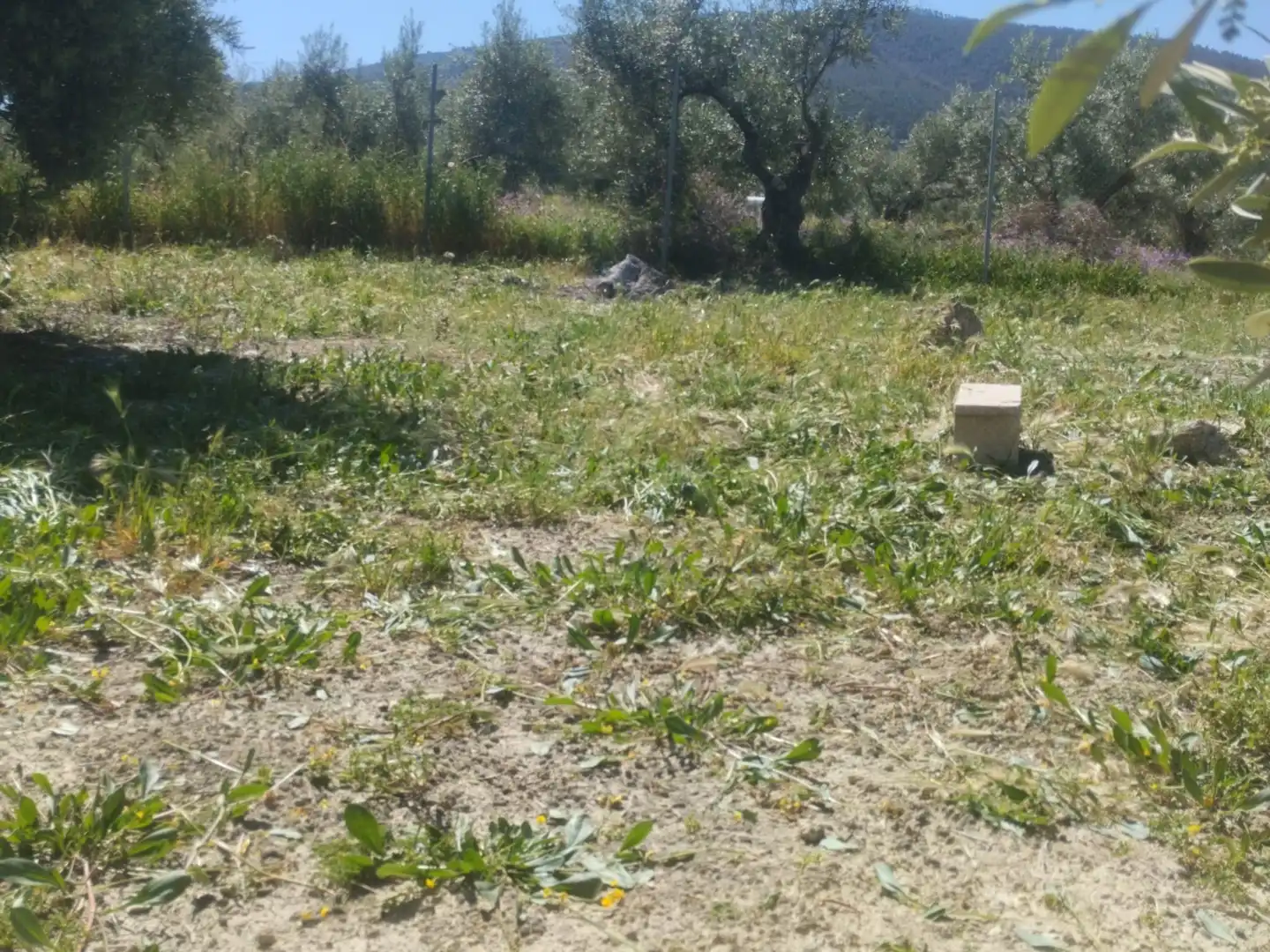 Residential zum Verkauf in La Guardia de Jaén