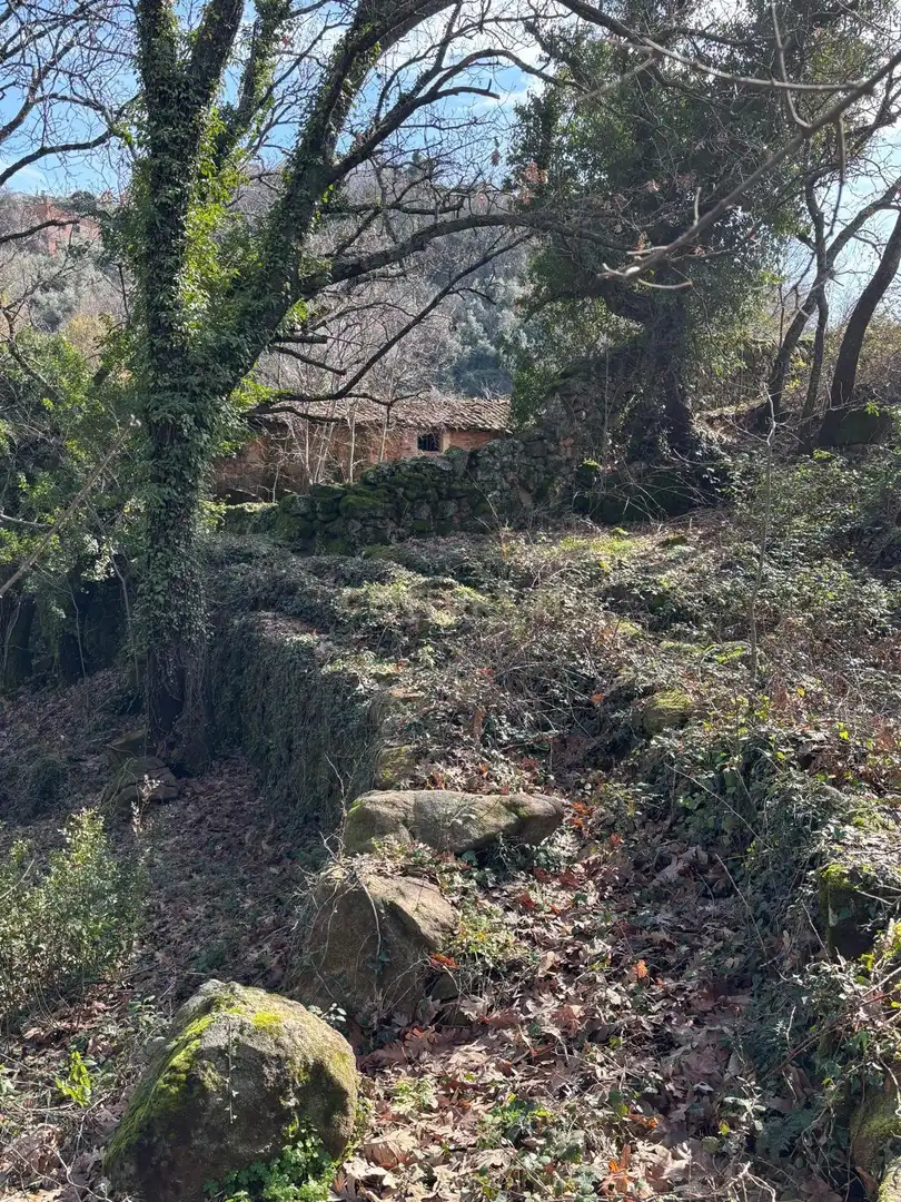 Terreni e lotti in vendita a Polígono 10 Parcela 224 EL BALDIO. ARROYOMOLINOS DE LA VERA (CÁCERES), imagen 9