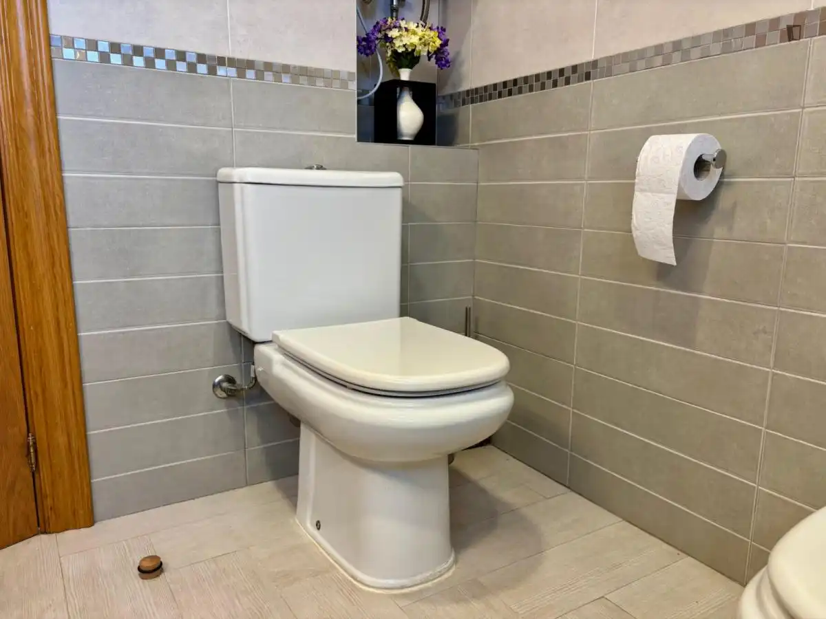 Apartments for rent in PAU 5
