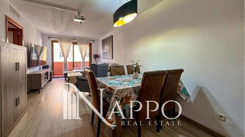 Foto 3 de Piso en venta en Pere Garau,  Palma de Mallorca
