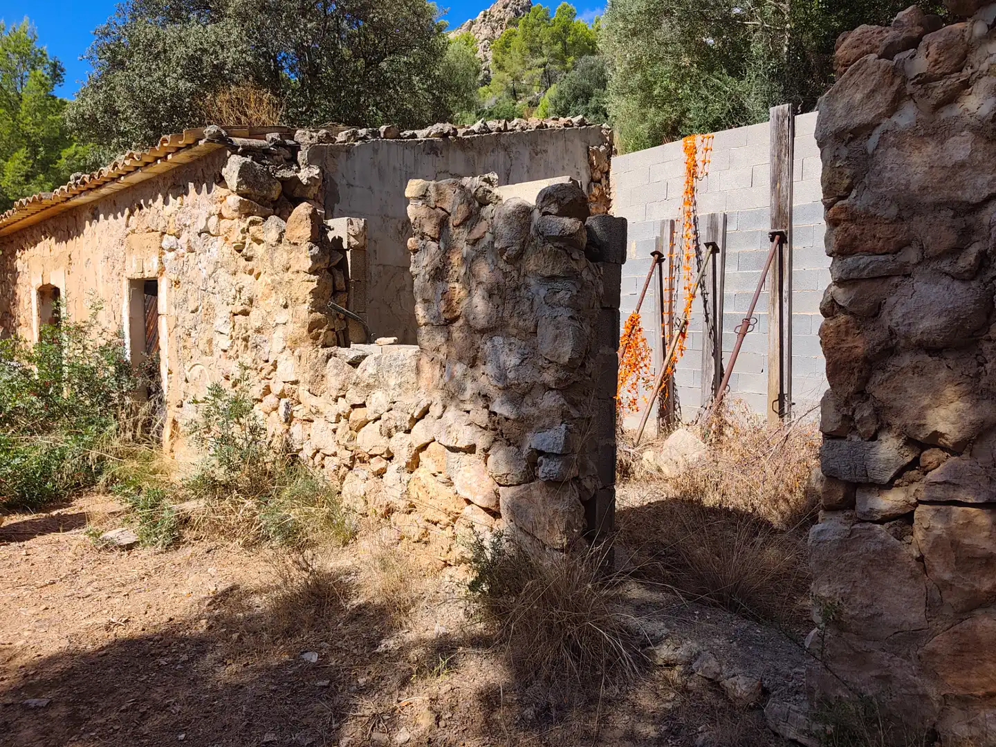 Terreny rústic en venda a Andratx pueblo, imagen 13