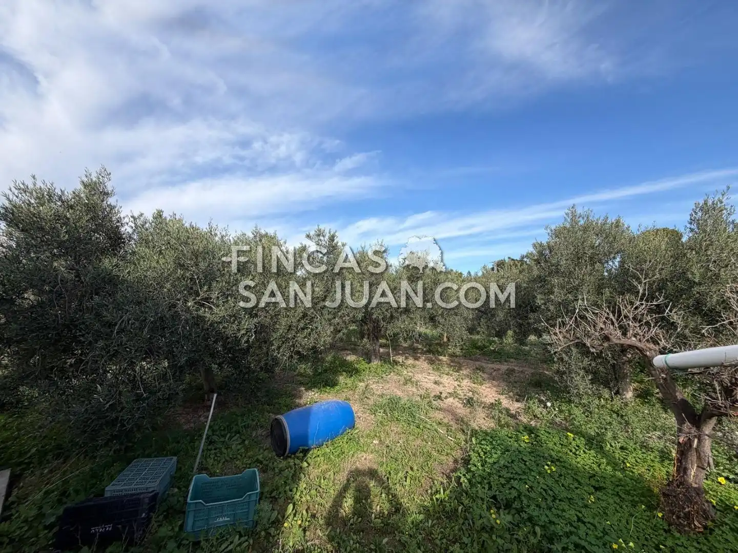 Finca rústica en venta en Centro