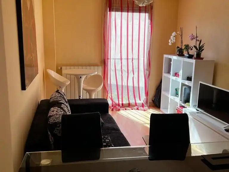Sala de estar de Apartamento de alquiler en Casco Antiguo