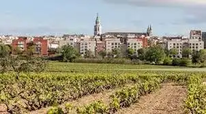 Grundstücke und Bauplätze zum Verkauf in Sant Julià, imagen 2