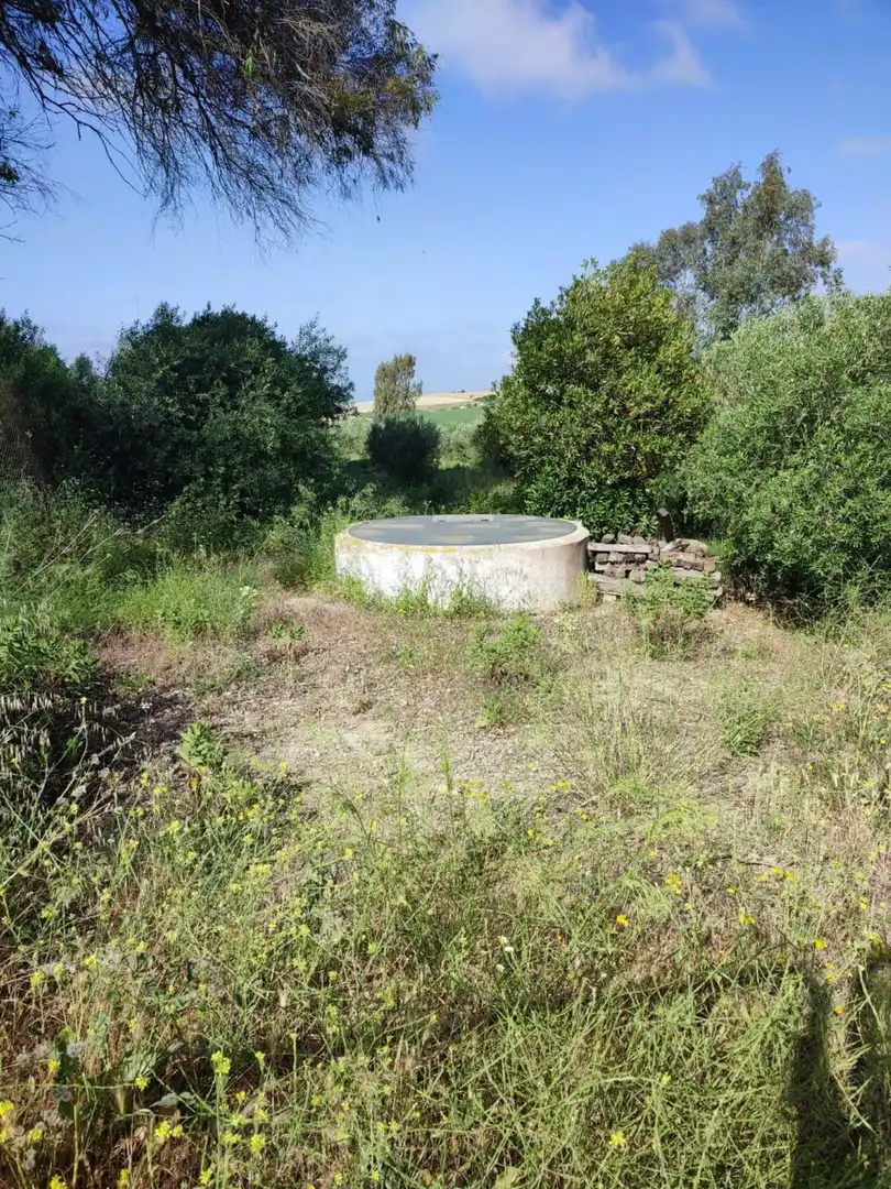 Terreno residencial en venta en Arcos de la Frontera, imagen 19