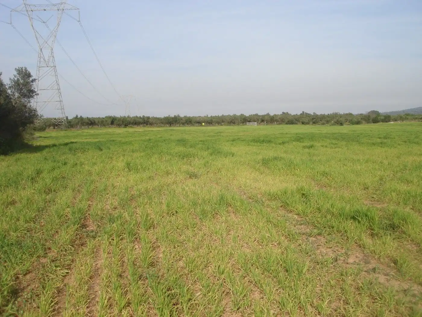 Terreno rustico in vendita a Godall, imagen 9