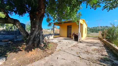 Terreno rústico junto a la Urbanización San Cristóbal de Alberic, immagine 3