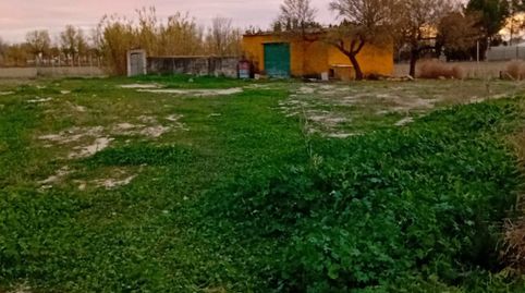 Foto 5 de Finca rústica en venta en Pedanías - Extrarradio, Albacete Capital