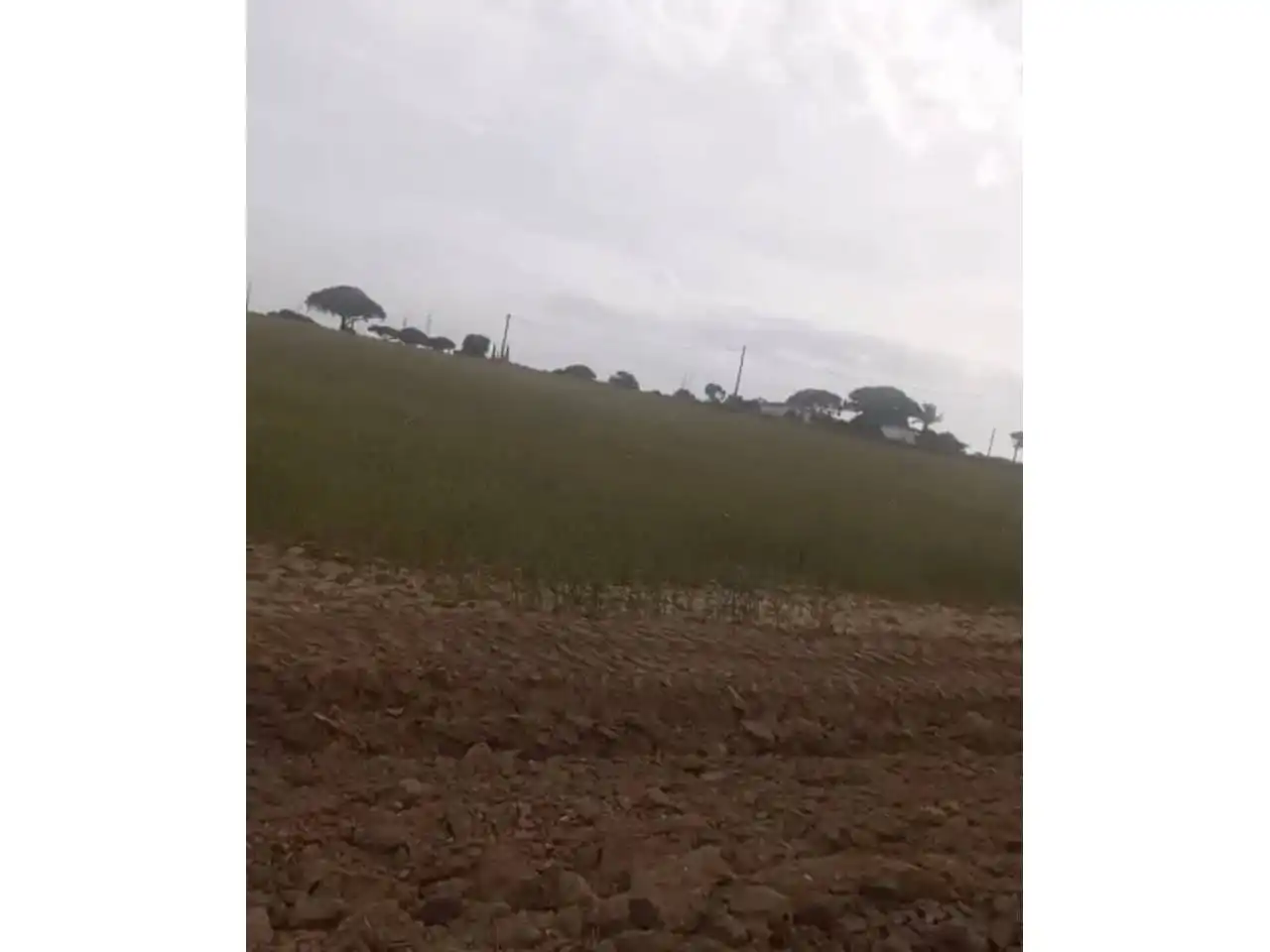 Grundstücke zur Miete in Puerto Real
