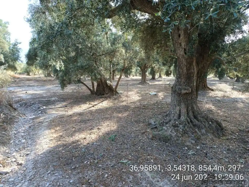 Terreno rustico in vendita a Calle poligono 2, parcela 207,208, Tomillar, Lecrín 0, imagen 12
