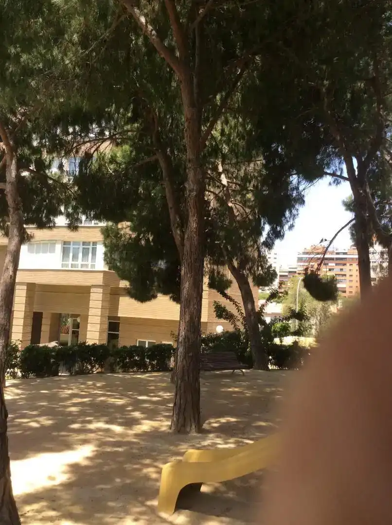 Vista exterior de Apartament de lloguer en Playa de San Juan - El Cabo de las Huertas