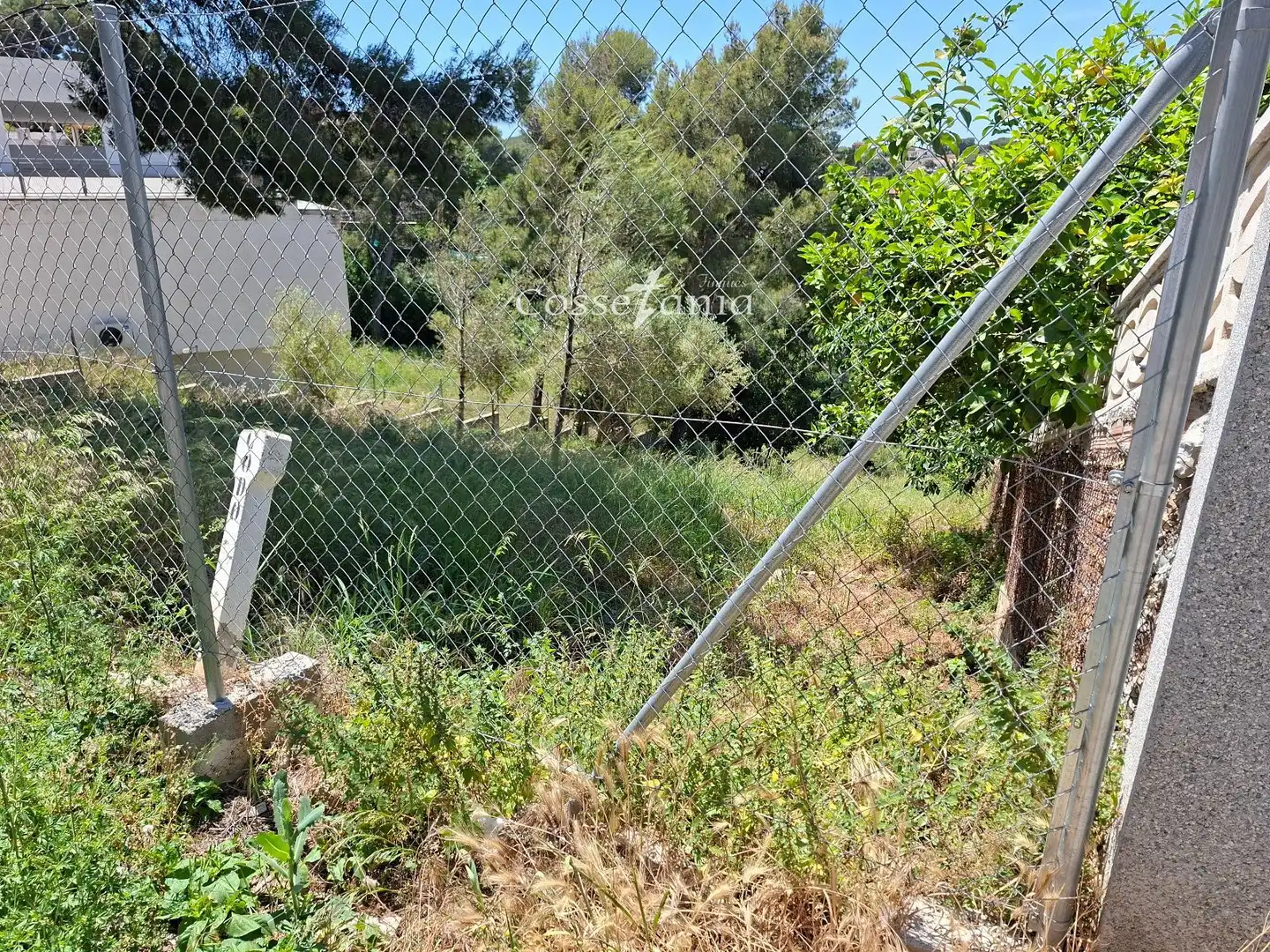 Terreno rustico in vendita a Llorens, imagen 2